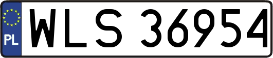 WLS36954