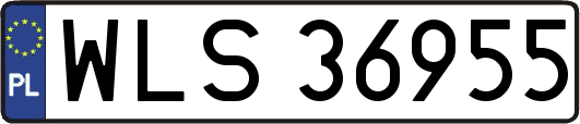 WLS36955