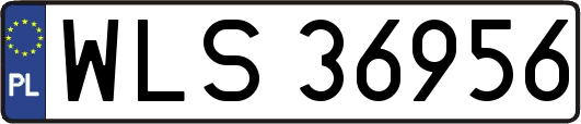 WLS36956
