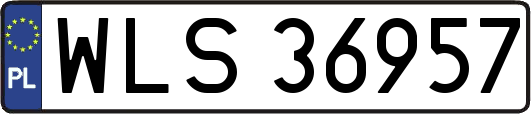 WLS36957