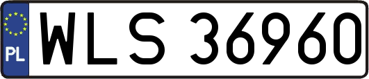 WLS36960