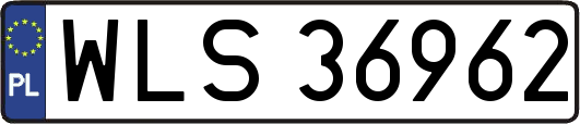 WLS36962