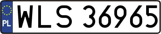 WLS36965