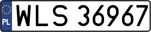 WLS36967