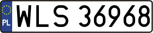 WLS36968