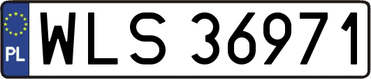 WLS36971