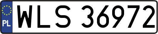 WLS36972