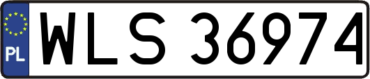 WLS36974