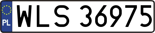 WLS36975