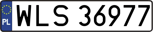 WLS36977
