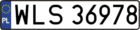 WLS36978