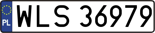 WLS36979