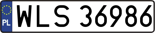 WLS36986