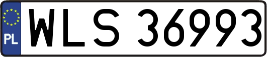 WLS36993