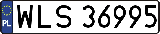 WLS36995