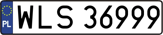 WLS36999