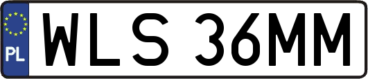 WLS36MM