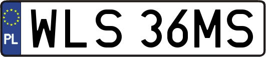 WLS36MS
