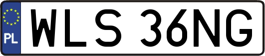 WLS36NG