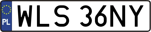 WLS36NY