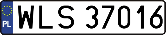 WLS37016