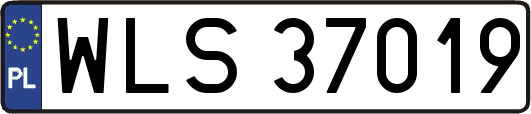WLS37019