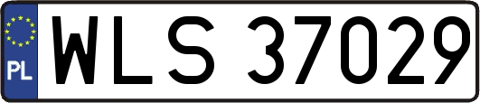 WLS37029