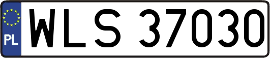 WLS37030