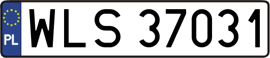 WLS37031
