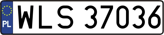 WLS37036