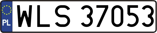 WLS37053