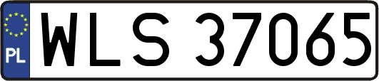WLS37065