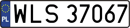 WLS37067