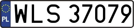 WLS37079