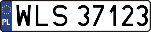 WLS37123