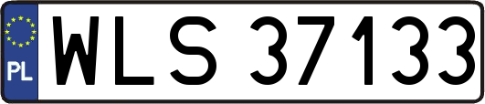 WLS37133