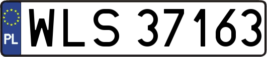 WLS37163