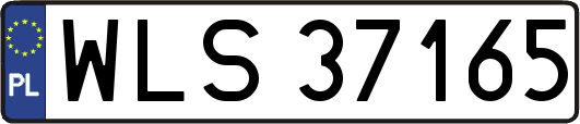 WLS37165