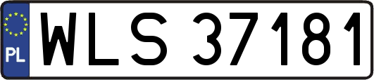 WLS37181