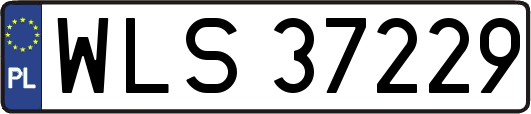WLS37229