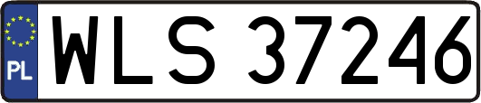 WLS37246