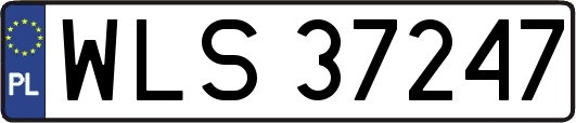 WLS37247