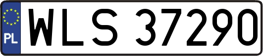 WLS37290