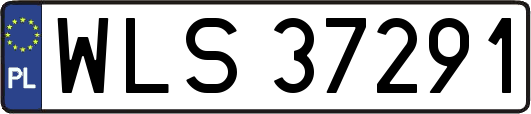 WLS37291