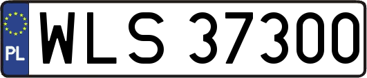 WLS37300