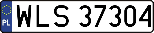 WLS37304