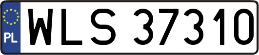 WLS37310