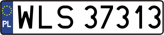 WLS37313
