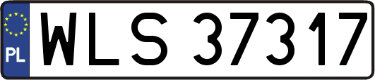 WLS37317