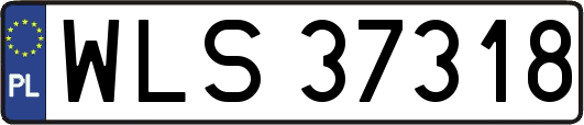 WLS37318